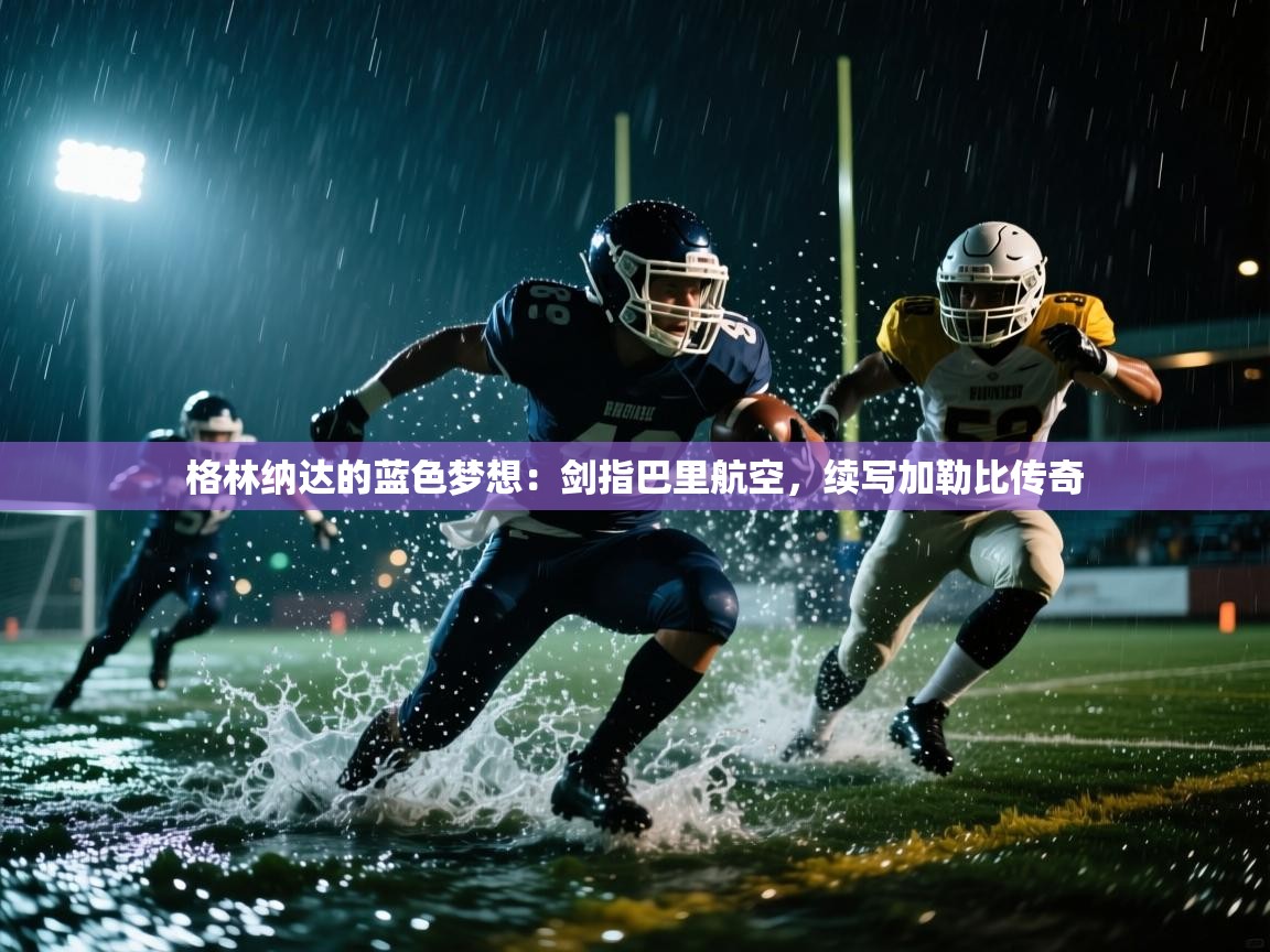 格林纳达的蓝色梦想:剑指巴里航空,续写加勒比传奇 第2张