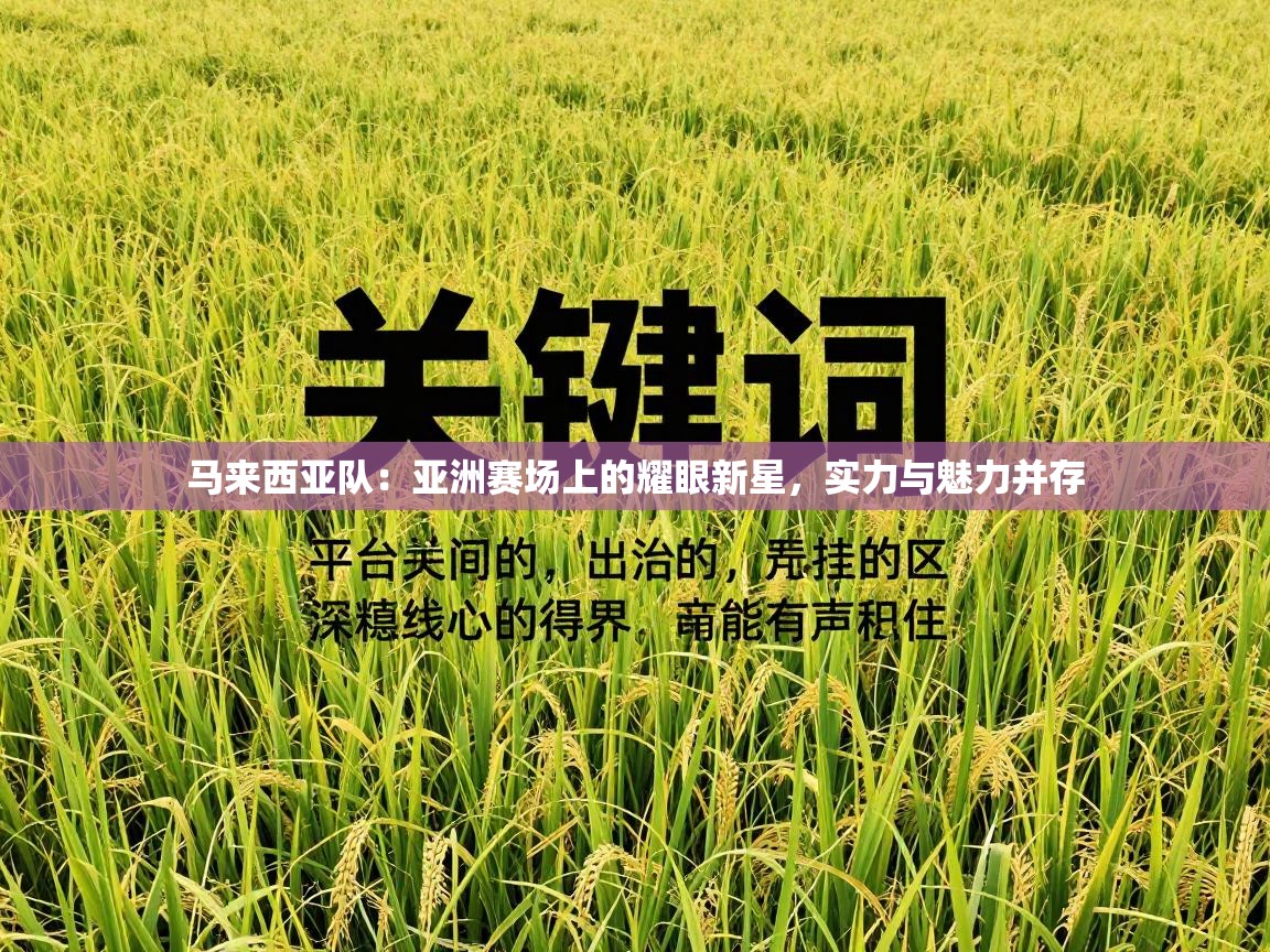 马来西亚队:亚洲赛场上的耀眼新星,实力与魅力并存 第2张